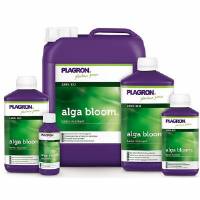 Plagron ALGA Bloom 100ml