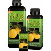 Citrus Focus - Growth Technology 300ml