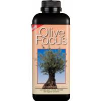 Olive Focus - Growth Technology 300ml