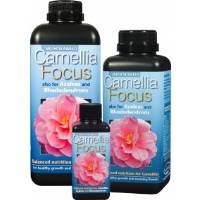 Camellia Focus - Growth Technology 300ml