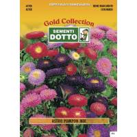Aster Pompon Mix - Gold Seeds by Sementi Dotto