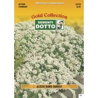 White Dwarf Alyssum (Alyssum maritimum)  - Gold Seeds by Sementi Dotto 0.9gr