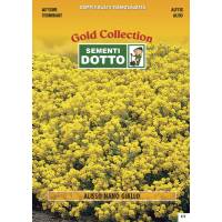 Alisso Yellow - Gold Seeds by Sementi Dotto