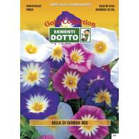 Convolvulus (Convolvulus tricolor) mix - Gold Seeds by Sementi Dotto 3.4gr