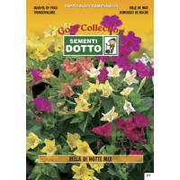 Marvel of Peru (Mirabilis jalapa)mix - Gold Seeds by Sementi Dotto 4.6gr