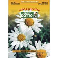 Big Daisy White - Gold Seeds by Sementi Dotto