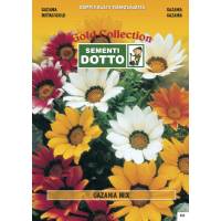 Gazania (Gazania splendens) mix - Gold Seeds by Sementi Dotto 0.08gr