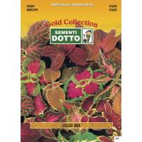 Coleus (Coleus blumei) - Gold Seeds by Sementi Dotto 0.19gr