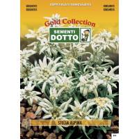 Edelweisse - Gold Seeds by Sementi Dotto
