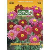 Pyrethrum (Pyrethrum roseum) mix - 0.45gr