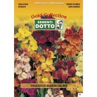 Matthiola Quarantine Stock Mix - Gold Seeds by Sementi Dotto
