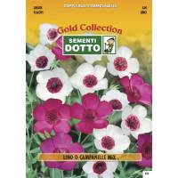 Linum (Linum grandiflorum) mix  - Gold Seeds by Sementi Dotto 4gr