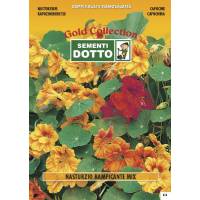 Vine Nasturtium (Tropaeolum majus) - Gold Seeds by Sementi Dotto 4.9gr