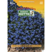 Lobelia Dwarf Blue (Lobelia erinus) - Gold Seeds by Sementi Dotto - 0.16gr