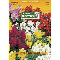 Snapdragon Dwarf (Antirrhinum majus) Mix - Gold Seeds by Sementi Dotto 0.7gr