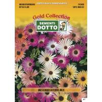 Mesembryanthemum Mix - 1.3gr - Gold Seeds by Sementi Dotto