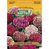 Sweet William (Dianthus barbatus) Mix - Gold Seeds by Sementi Dotto  2.5gr