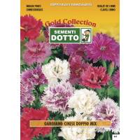 Chinese Carnation Double Flower Mix - Gold Seeds by Sementi Dotto 
