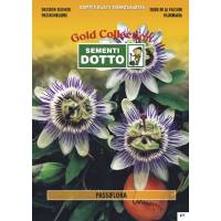 Passion Flower (Passiflora coerulea)  - Gold Seeds by Sementi Dotto 0.16gr