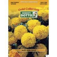 Dwarf Yellow Marigold - Gold Seeds by Sementi Dotto 1.8gr