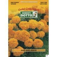 Dwarf Orange Marigold (Tagetes patula) - Gold Seeds by Sementi Dotto 1.8gr