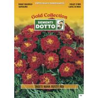 Dwarf Marigold (Tagetes patula) - Gold Seeds by Sementi Dotto 1.8gr