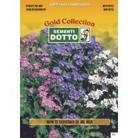 Forget me not (Myosotis alpestris) - Gold Seeds by Sementi Dotto