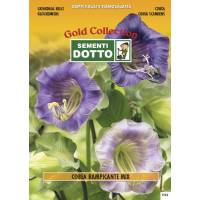 Cathedral Bells (Cobaea scandens) - Gold Seeds by Sementi Dotto 0.3gr