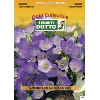 Bellflower Blue (Campanula carpatica)  - Gold Seeds by Sementi Dotto 0.45gr