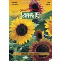 Dwarf Sunflower (Helianthus annuus) - Gold Seeds by Sementi Dotto 2.8gr