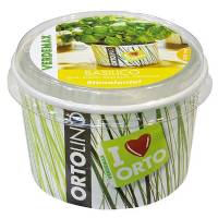 Cultivation Kit ORTOLINO Basil by Verdemax