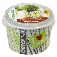 Cultivation Kit ORTOLINO Chives  by Verdemax