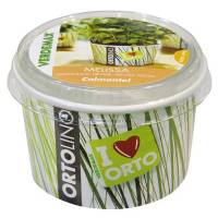 Cultivation Kit ORTOLINO Lemon Balm by Verdemax