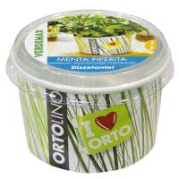 Cultivation Kit ORTOLINO Peppermint by Verdemax