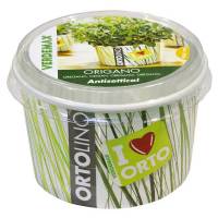 Cultivation Kit ORTOLINO Oregano by Verdemax
