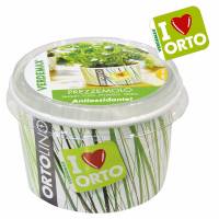 Cultivation Kit ORTOLINO Parsley by Verdemax