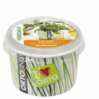 Cultivation Kit ORTOLINO Sage by Verdemax