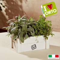 Cultivation Kit Easyorto by Verdemax - Mint and Sage