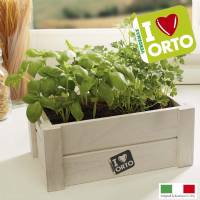 Cultivation Kit Easyorto by Verdemax - Basil and Parsley