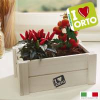 Cultivation Kit Easyorto by Verdemax - Chillies and Cherry Tomatoes