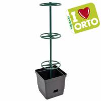 Vine planter by Verdemax - I LOVE ORTO.