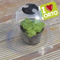 Medium Protective Bell - Ø26cm xh19,5cm - Verdemax