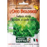 Orto Biologico - Seeds of 'Indivia Riccia Pancalieri'