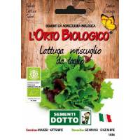 Organic Seeds Mixture of red and yellow picking lettuce varieties.