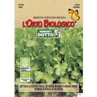 Organic Seeds Lettuce Four Seasons