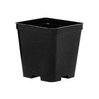 Square Pot germination square 0,6L - 9x9x10cm