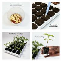 Growth Technology - White Tray Pvc