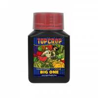 Top Crop - Big One - 250ml