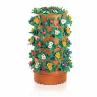 Greenkit 40 Vases