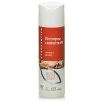 Hemp & Ginseng Energizing Shampoo 200ml - Verdesativa